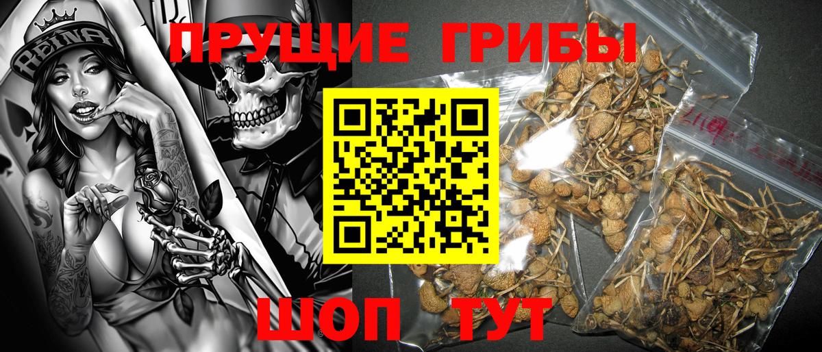 Тверь  Галлюциногенные грибы MAGIC MUSHROOMS  Вход с VPN 